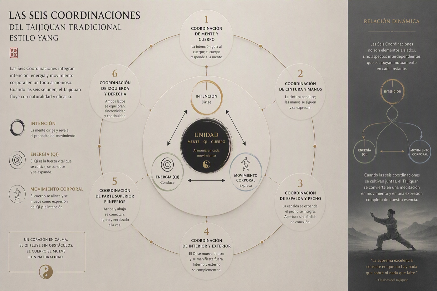Infografía de las Seis Coordinaciones del Taijiquan tradicional estilo Yang: mente y cuerpo, cintura y manos, espalda y pecho, interior y exterior, parte superior e inferior, izquierda y derecha — todas unidas por la intención, la energía y el movimiento corporal en un todo armonioso.